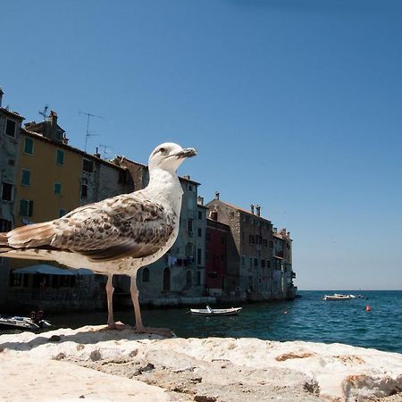 Maximus Apartment Rovinj Ngoại thất bức ảnh