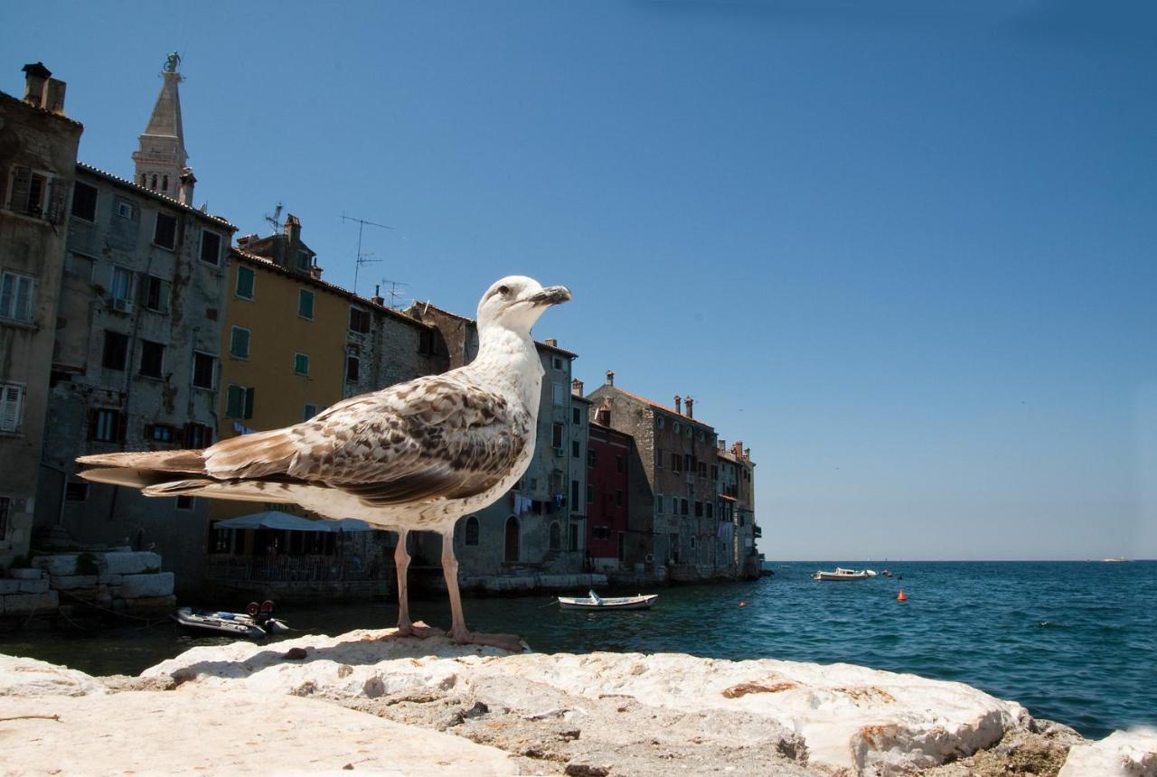 Maximus Apartment Rovinj Ngoại thất bức ảnh